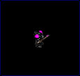 Terran Marine